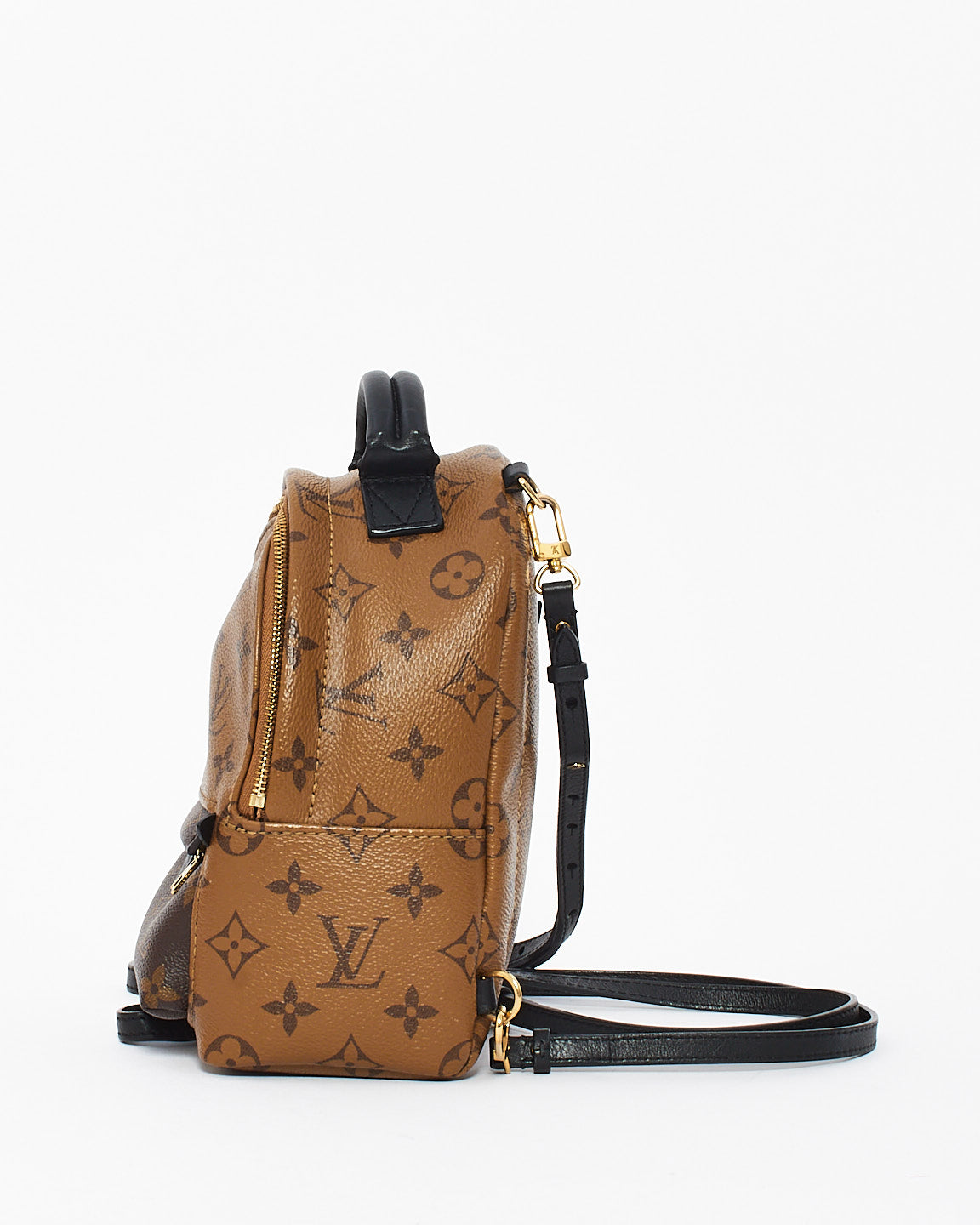 Louis Vuitton Reverse Monogram Canvas Palm Spring Mini Backpack