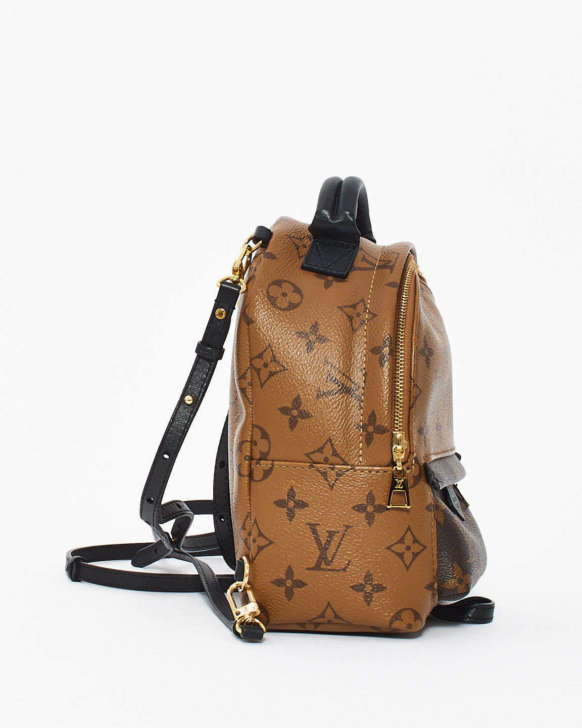 Louis Vuitton Reverse Monogram Canvas Palm Spring Mini Backpack