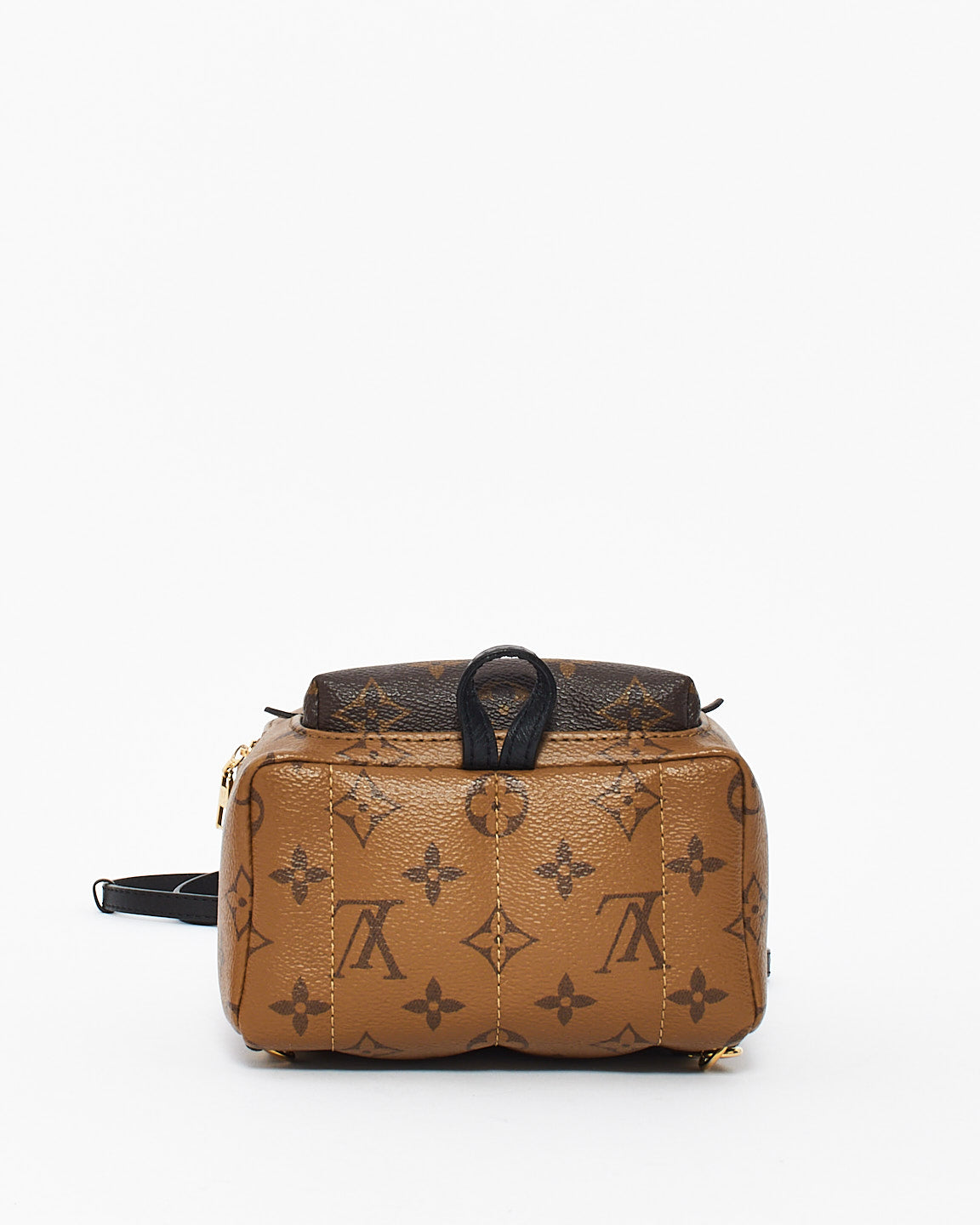 Louis Vuitton Reverse Monogram Canvas Palm Spring Mini Backpack