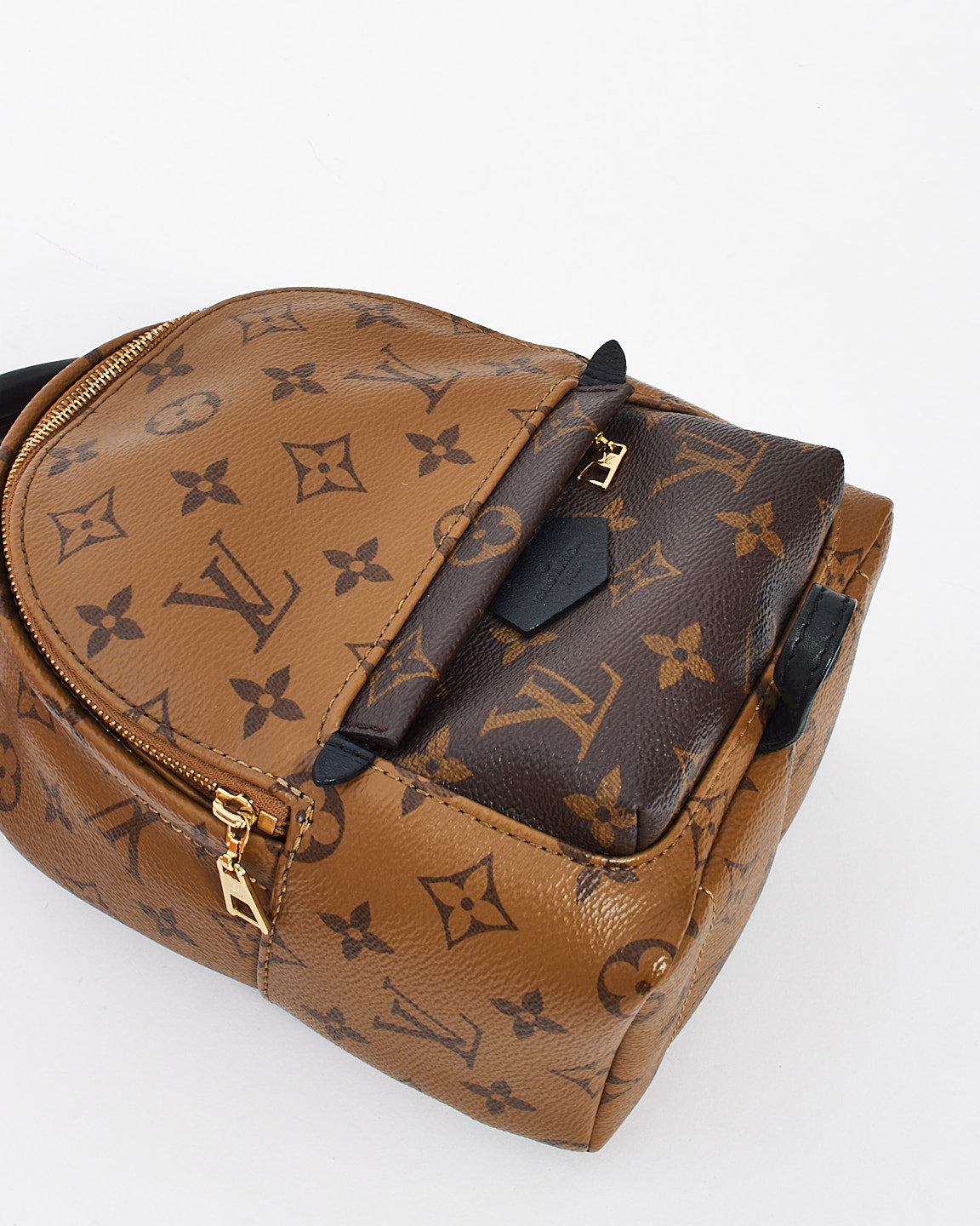 Louis Vuitton Reverse Monogram Canvas Palm Spring Mini Backpack