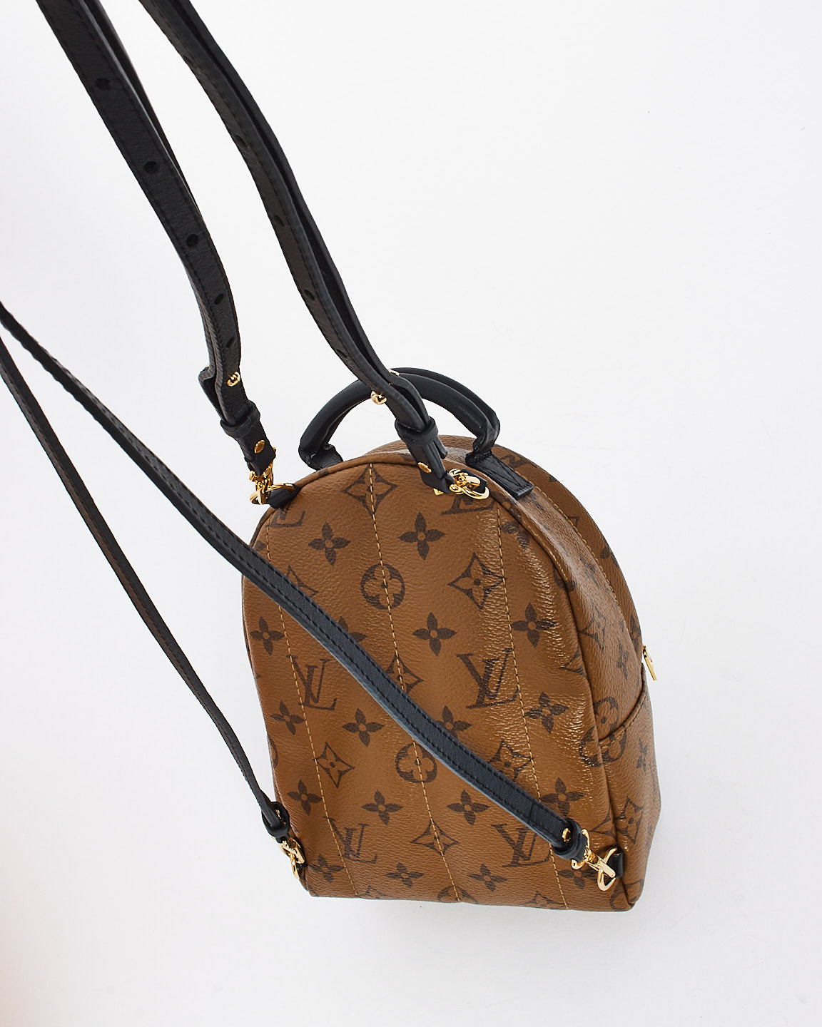 Louis Vuitton Reverse Monogram Canvas Palm Spring Mini Backpack