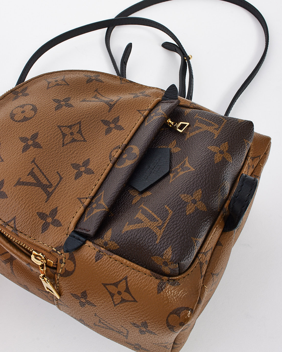 Louis Vuitton Reverse Monogram Canvas Palm Spring Mini Backpack