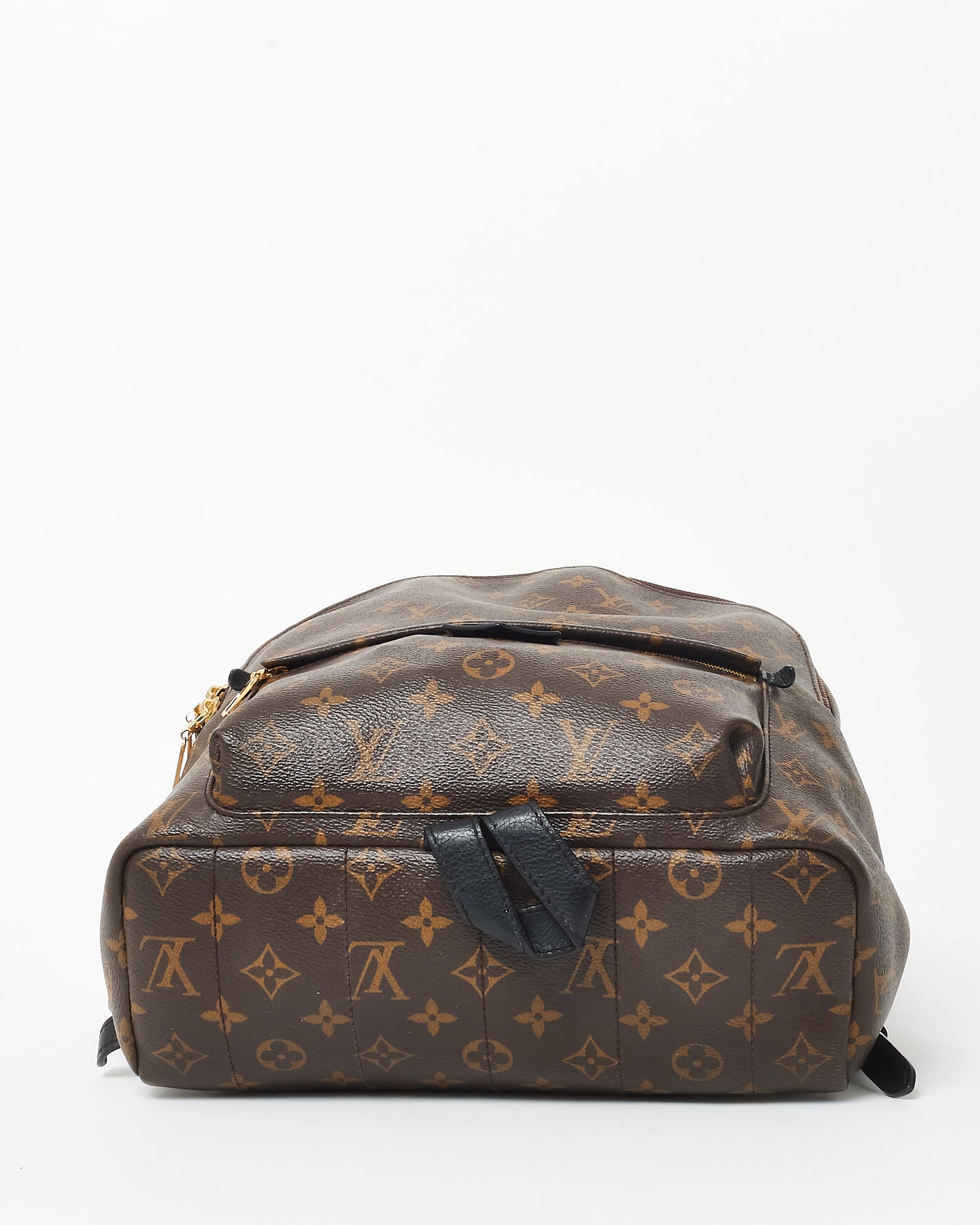 Louis Vuitton Monogram Canvas Palm Springs MM Backpack