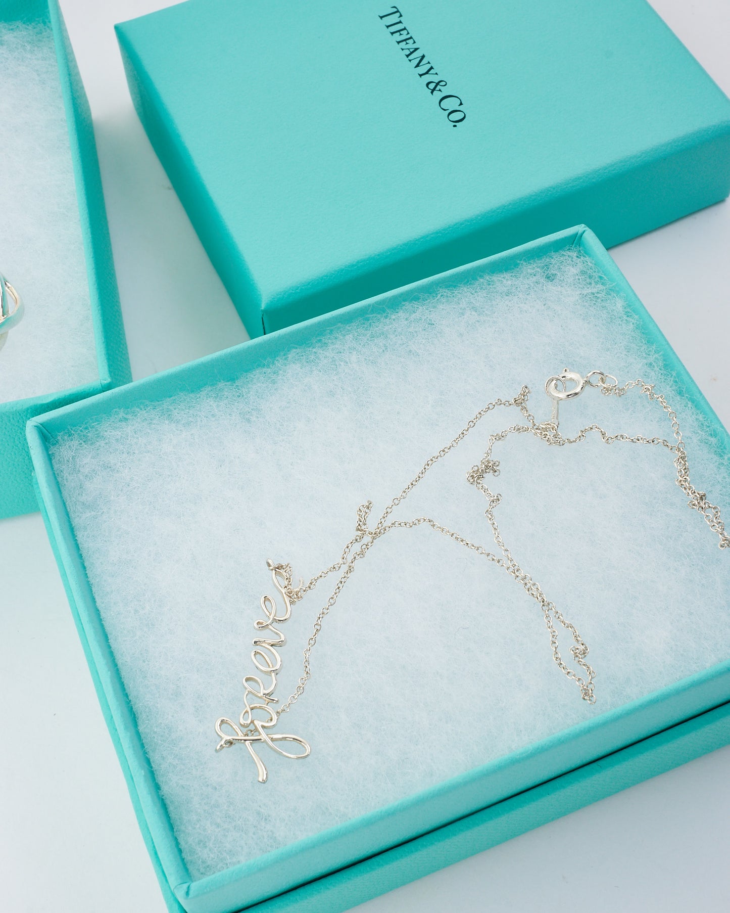 Tiffany & Co. Silver Paloma's Graffiti Cursive Forever Necklace