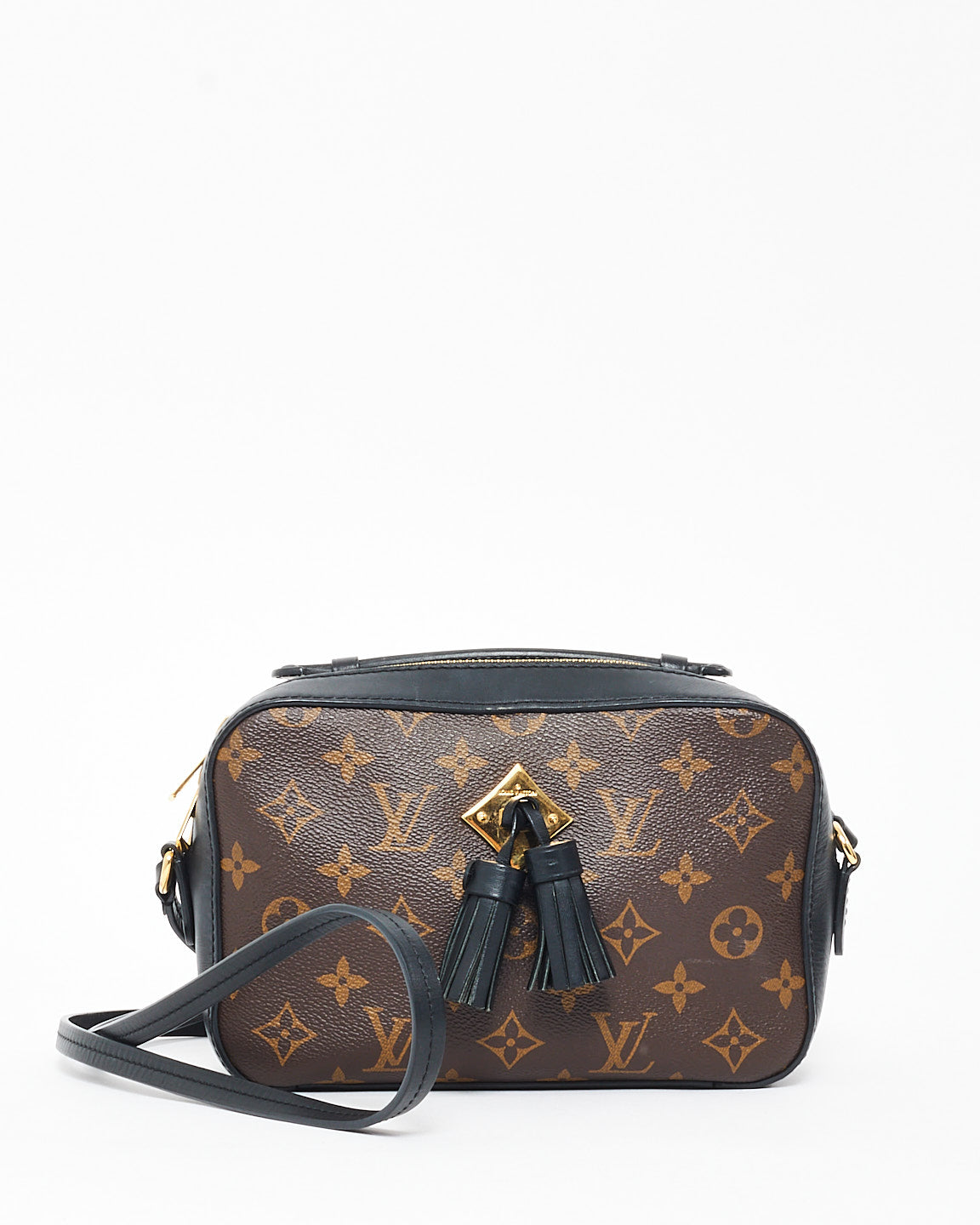 Louis Vuitton Monogram Coated Canvas & Leather Saintonge Camera Bag