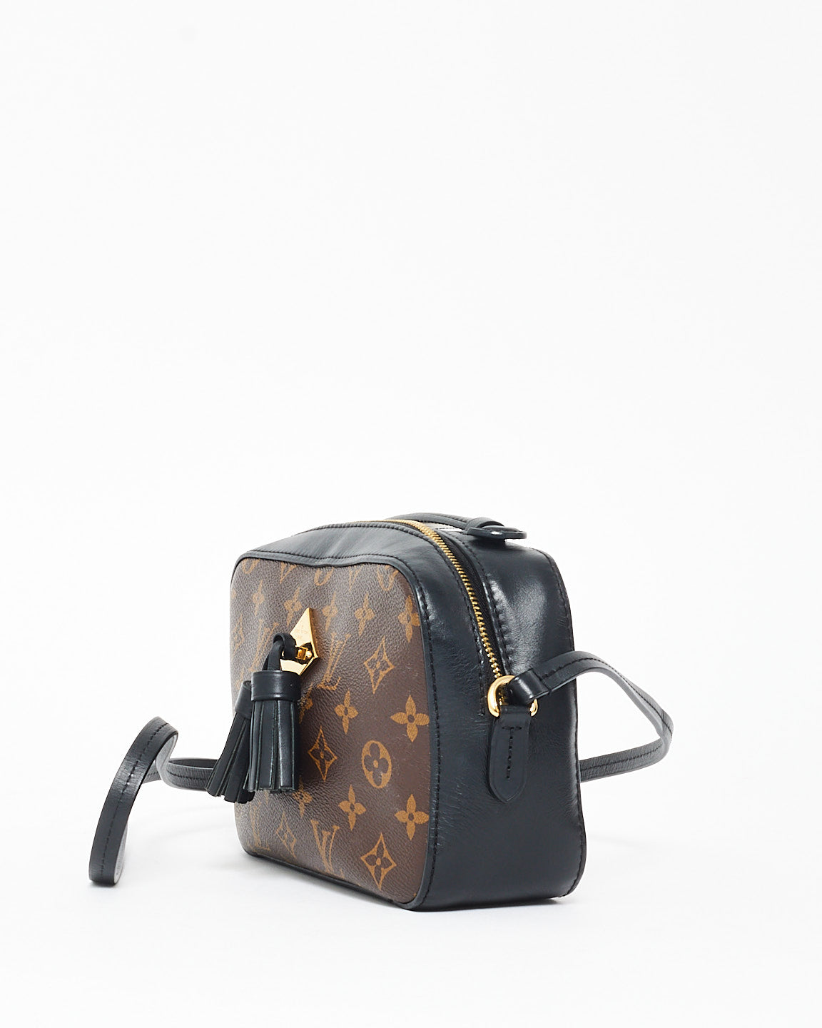 Louis Vuitton Monogram Coated Canvas & Leather Saintonge Camera Bag