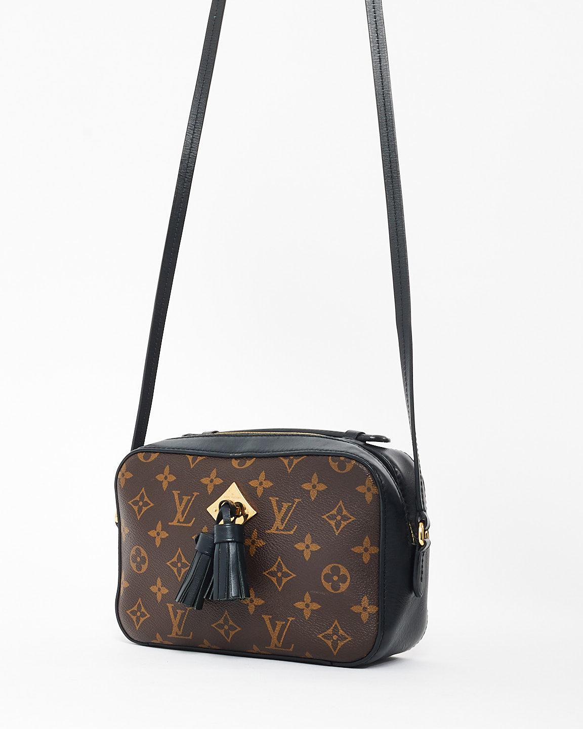 Louis Vuitton Monogram Coated Canvas & Leather Saintonge Camera Bag