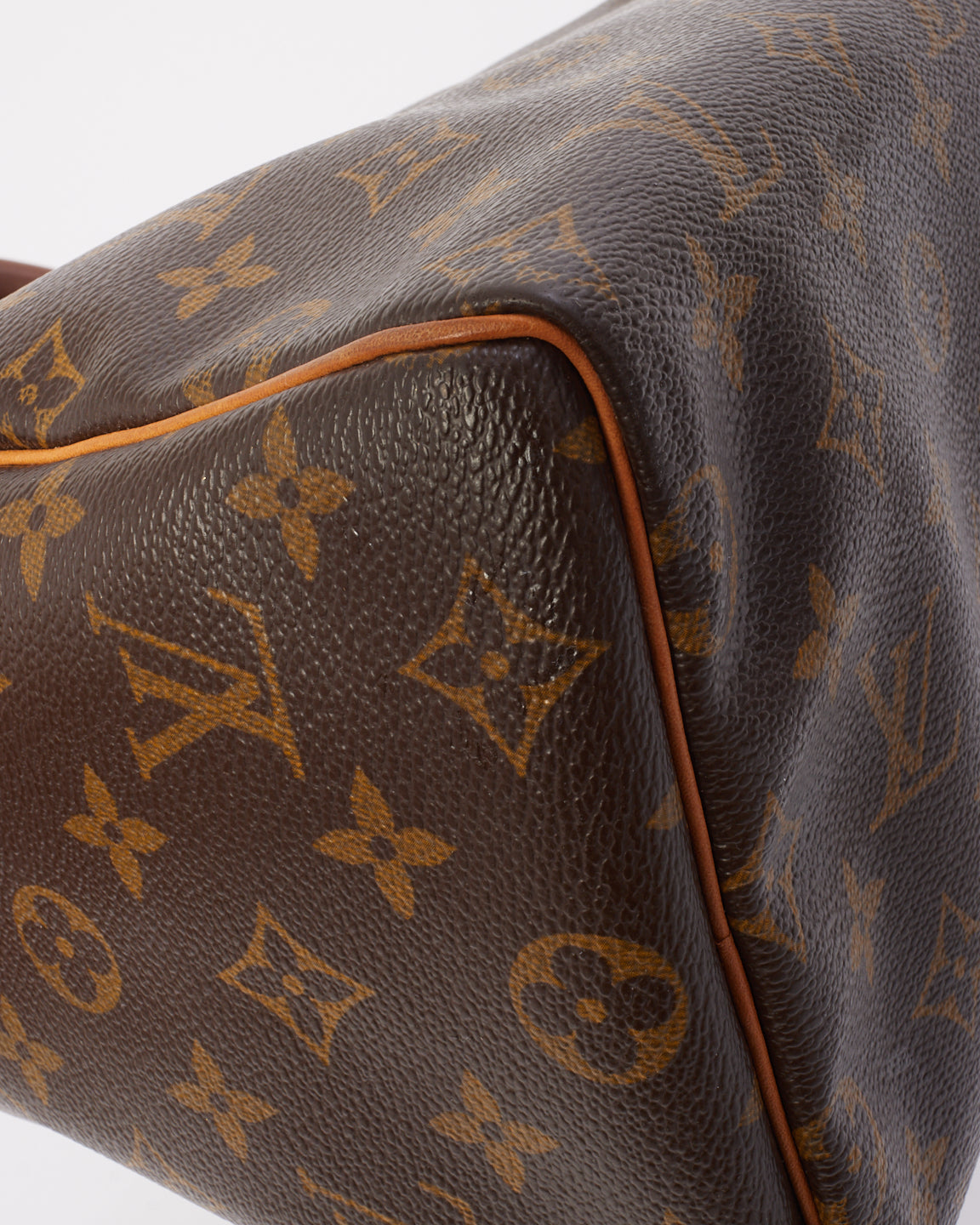 Louis Vuitton Monogram Canvas Speedy 25 Bag