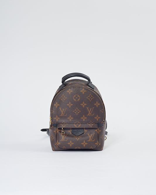 Louis Vuitton Monogram Mini Palm Springs Backpack