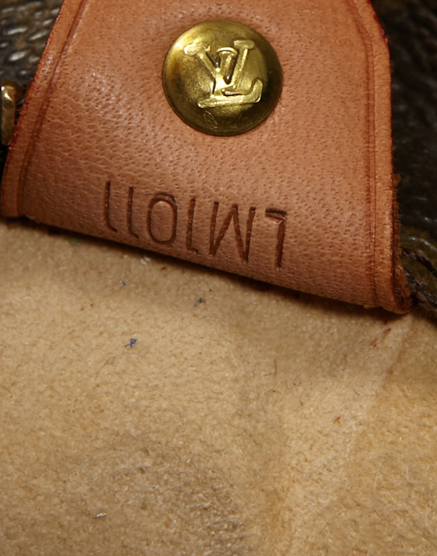 Louis Vuitton Monogram Sac Luco Cabas